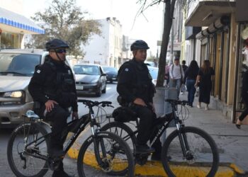 GRUPO DELFINES DE LA GUARDIA ESTATAL Mantiene proximidad en las áreas naturales y comerciales