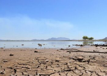 Sequía moderada regresa a Tamaulipas; afecta zona fronteriza