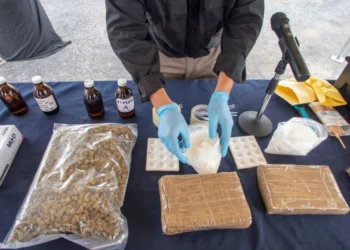 Impactan los operativos en México: Detenciones masivas y decomisos millonarios desde octubre