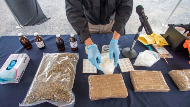 Impactan los operativos en México: Detenciones masivas y decomisos millonarios desde octubre