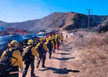 SEDENA Y PC COORDINAN RESCATES Mexicanos ya combaten incendios en Los Ángeles
