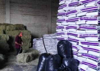A FALTA DE LLUVIAS Sube producción de alimento para ganado