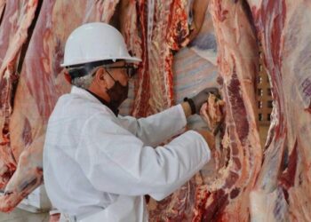 SUBSIDIOS Y MEJORAS Rastro de Nuevo Laredo busca repuntar en 2025