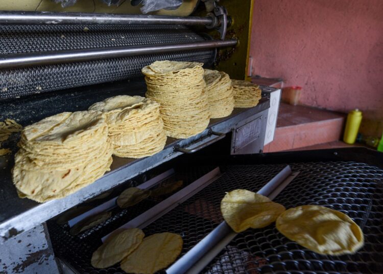 Aumento a la tortilla impactará economía familiar en enero