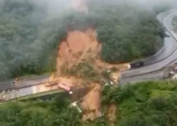 Tragedia en Brasil: Deslizamientos de tierra dejan 7 muertos, incluidos niños