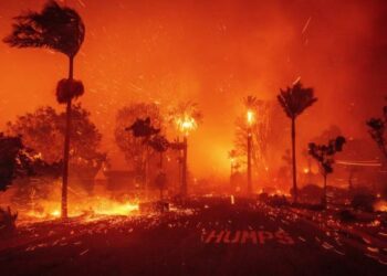 EN LOS ÁNGELES Incendio lleva 5 muertos y más de 100 mil evacuados