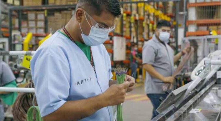 EN EL 2024 Cierra Nuevo Laredo con más de 110 mil empleos