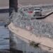 EN FRONTERA CON MÉXICO EU desplegará hasta 1,500 soldados activos
