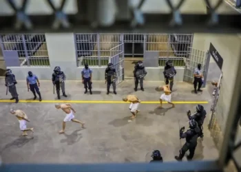 Bukele acepta encarcelar criminales deportados desde EE.UU.