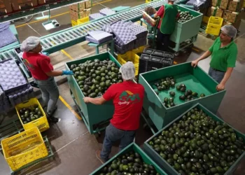 México abre el año con 22 millones 311 mil 546 empleos