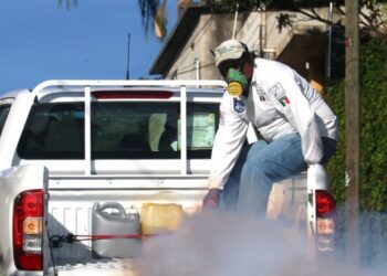 Detectan primeros dos casos probables de dengue del 2025