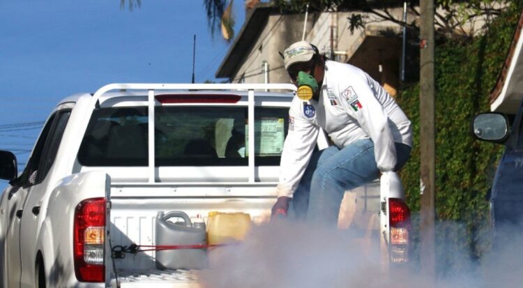 Detectan primeros dos casos probables de dengue del 2025