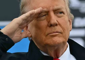 Trump y Putin podrían reunirse para discutir el conflicto en Ucrania