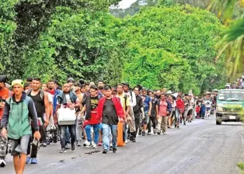 Diáspora bolivariana se convierte en la principal ola migratoria hacia México