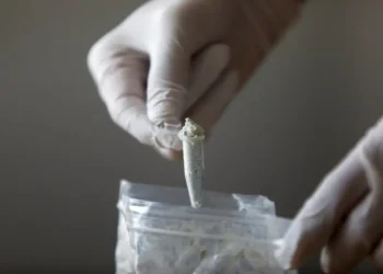 EU alerta sobre auge de productores independientes de fentanilo en México