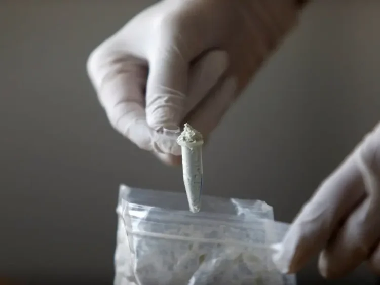 EU alerta sobre auge de productores independientes de fentanilo en México