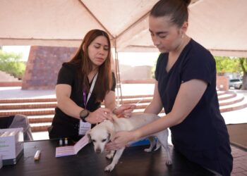 Responden ciudadanos a jornada de vacunación canina