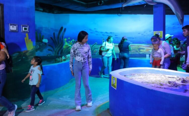 Gratis zoológico, acuario y alberca este sábado
