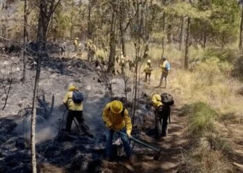 EN MORELOS Incendios forestales cobran la vida de un ejidatario