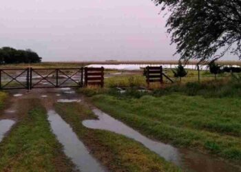 ALIVIO AL CAMPO Acumulan presas cuatro pulgadas por las lluvias