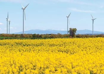 Crisis energética reaviva debate sobre las energías renovables en España