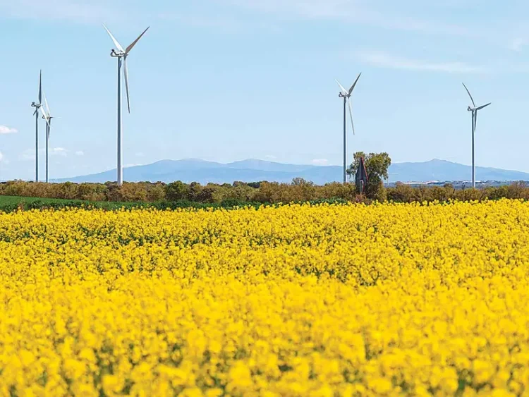 Crisis energética reaviva debate sobre las energías renovables en España