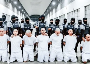 Desaparecen tras ser deportados a El Salvador; casi 300 migrantes sin contacto ni juicio, alerta la ONU