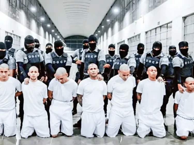 Desaparecen tras ser deportados a El Salvador; casi 300 migrantes sin contacto ni juicio, alerta la ONU