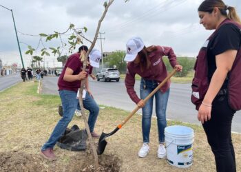 Plantan 2 mil árboles en Nuevo Laredo con “Empresas Verdes”