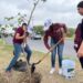 Plantan 2 mil árboles en Nuevo Laredo con “Empresas Verdes”