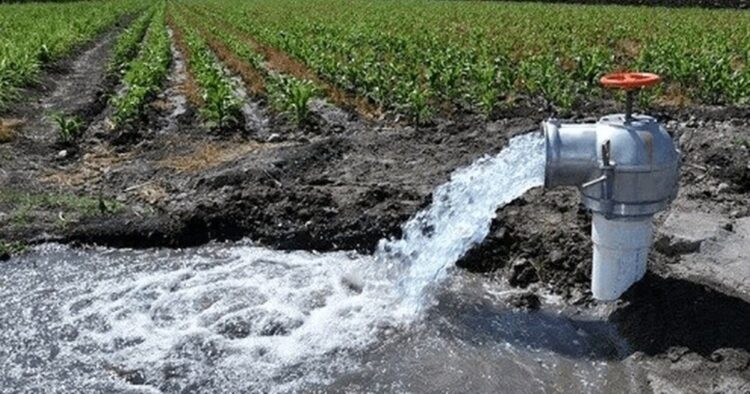Se desperdicia hasta 60% del agua de riego agrícola en Tamaulipas