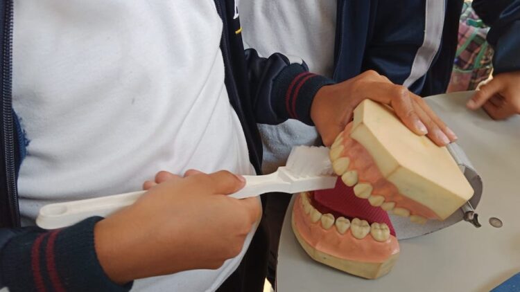 Caries y gingivitis, problemas frecuentes por falta de higiene