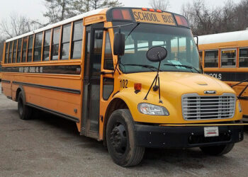 EN GEORGIA Acusan a conductor de autobús y siete niños de golpear a menor