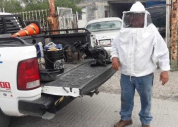 Alerta Protección Civil por riesgo de enjambres