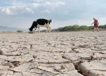 CLAMAN POR AGUA Confían ganaderos en lluvias de mayo