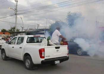 Intensifican el combate al dengue en zona sur