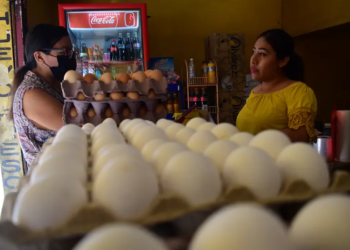 POR LAS NUBES Aguacate y huevo, lujo en la despensa
