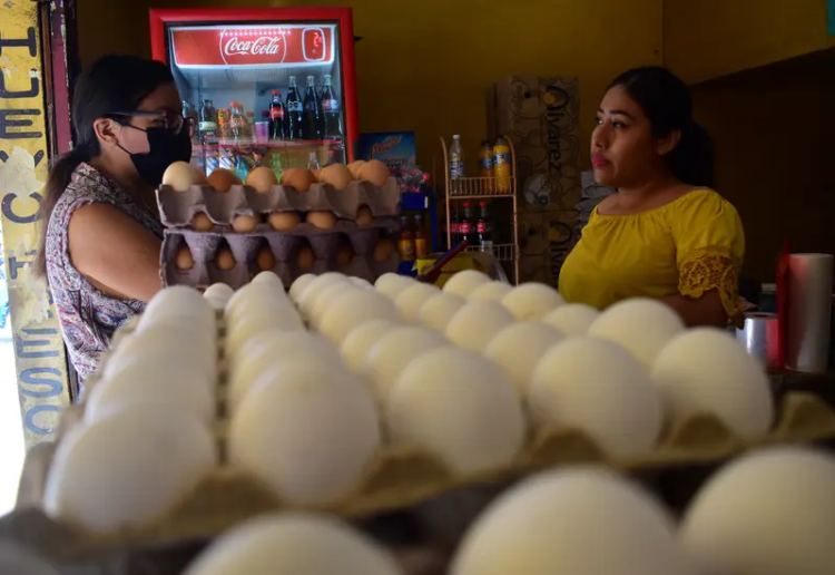 POR LAS NUBES Aguacate y huevo, lujo en la despensa