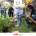 Impulsa la UAT el programa ambiental Jardines de Carrera