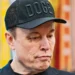 Musk niega consumo de drogas y acusa al New York Times de difamación