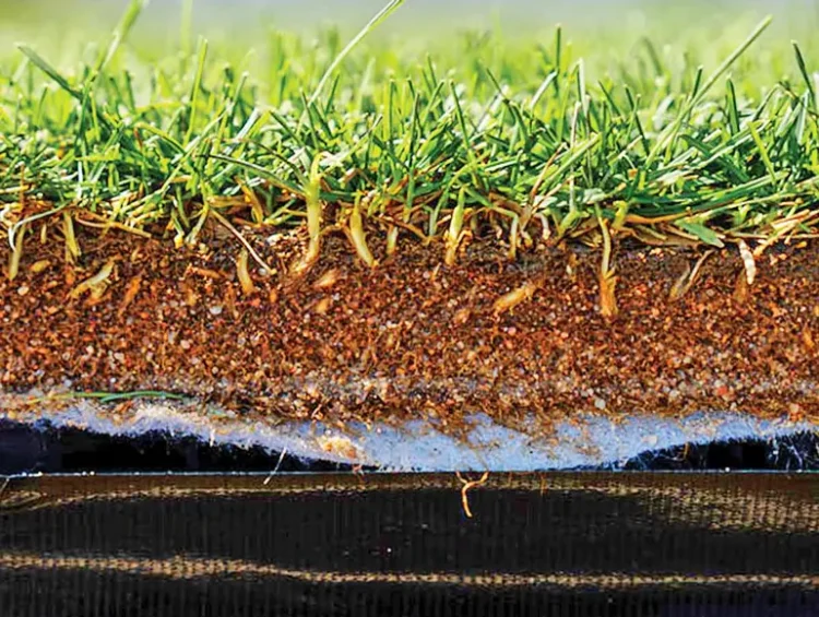 Un solo césped para unir a tres naciones: tecnología e ingeniería revolucionarán el Mundial 2026