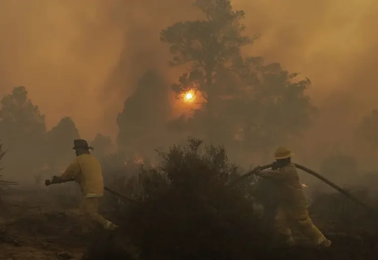 México envía 101 brigadistas a Canadá para combatir incendios