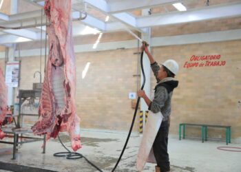 RASTRO MUNICIPAL DE NUEVO LAREDO MANTIENE ESTATUS SANITARIO INTERNACIONAL TRAS AUDITORÍA