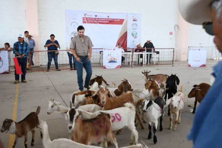 EN TULA Impulsan el desarrollo del sector caprino