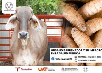 Brindará hoy la UAT conferencias sobre gusano barrenador y su impacto