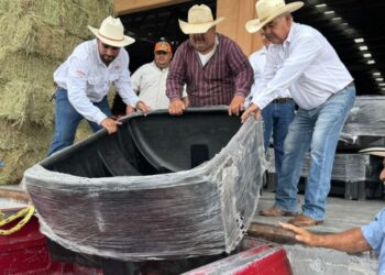 SECTOR AGRADECE A ALCALDESA Impulsa Nuevo Laredo la ganadería con apoyos únicos