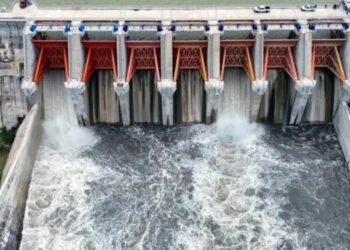 Sin represa, agua del Bravo se fuga al mar; urge infraestructura