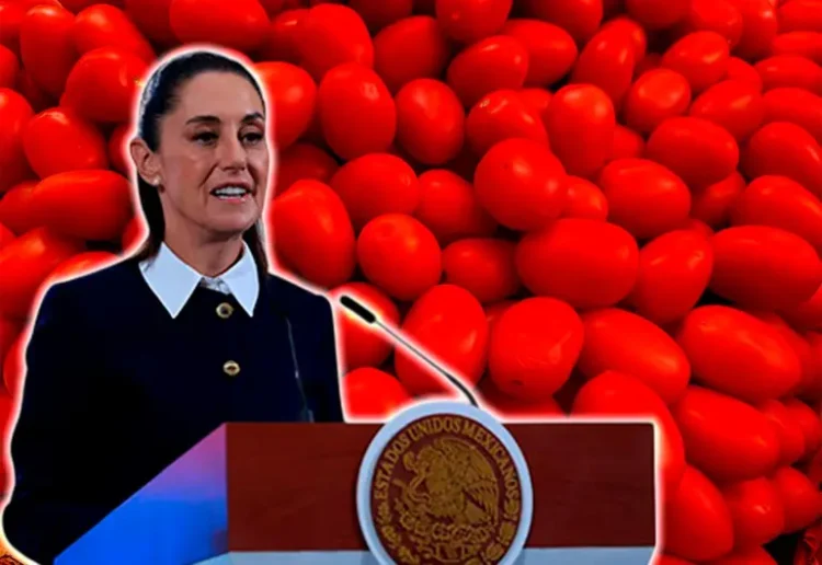 Sheinbaum asegura exportación de jitomate a EU pese a nuevo arancel
