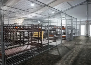 Migrantes mexicanos son detenidos en Florida pese a pagar multa