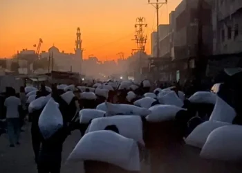 ONGs alertan sobre hambruna masiva en Gaza y exigen acceso a la ayuda